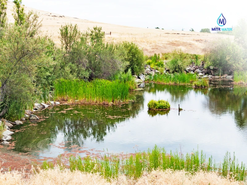 ผลกระทบน้ำประปาหมู่บ้านไม่สะอาด