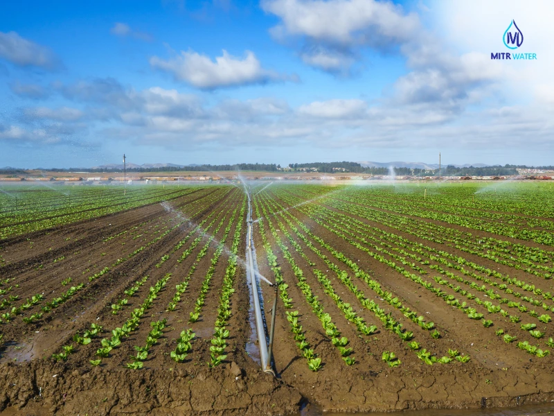 การดูแลระบบประปาหมู่บ้านให้สะอาด