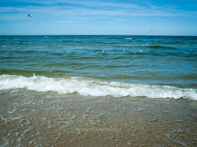 ระบบผลิตน้ำจากน้ำทะเล