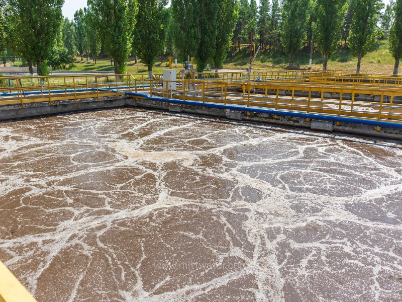 องค์ประกอบสำคัญในระบบบำบัดน้ำเสียแบบตะกอนเร่ง