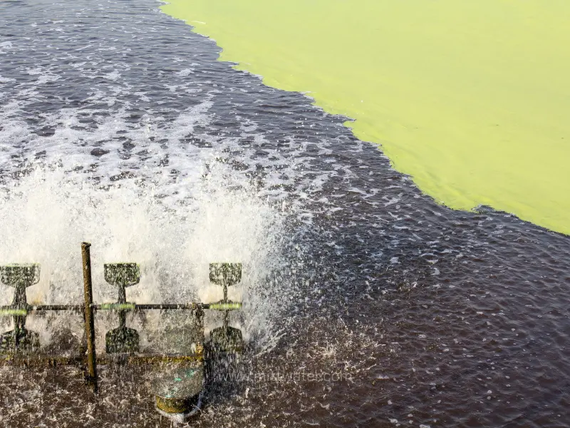 บ่อปรับเสถียรหรือบ่อผึ่ง