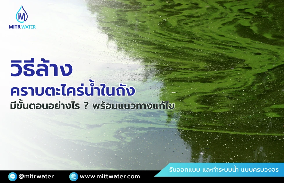 วิธีล้างคราบตะไคร่น้ำในถัง