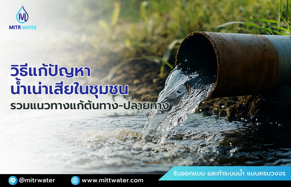 วิธีแก้ปัญหาน้ำเน่าเสียในชุมชน ทำอย่างไร